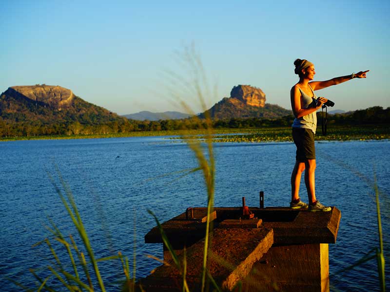 Ultimate Birding Tour of Sri Lanka