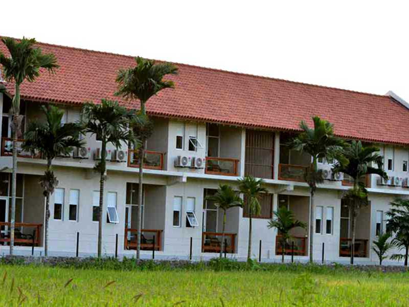Endemic bird watching tour of Sri Lanka
