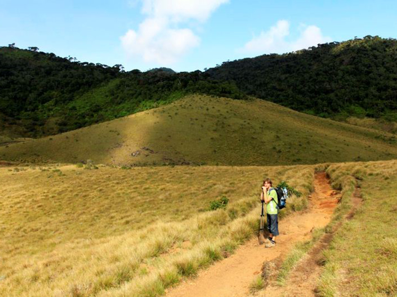 Endemic bird watching tour of Sri Lanka