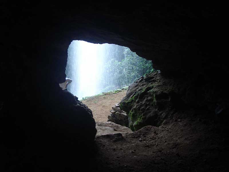 Endemic bird watching tour of Sri Lanka