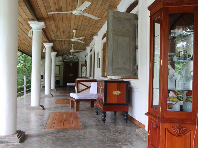 Endemic bird watching tour of Sri Lanka
