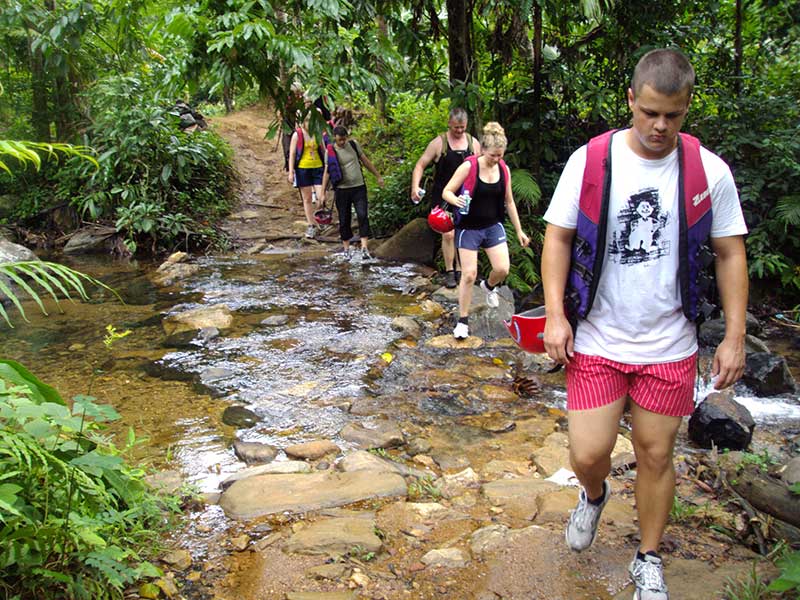 Endemic bird watching tour of Sri Lanka