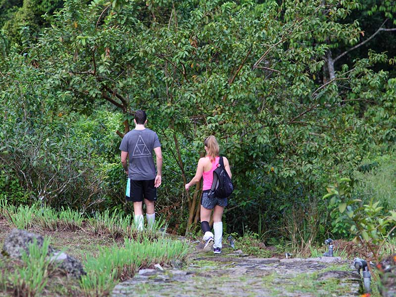 Endemic bird watching tour of Sri Lanka