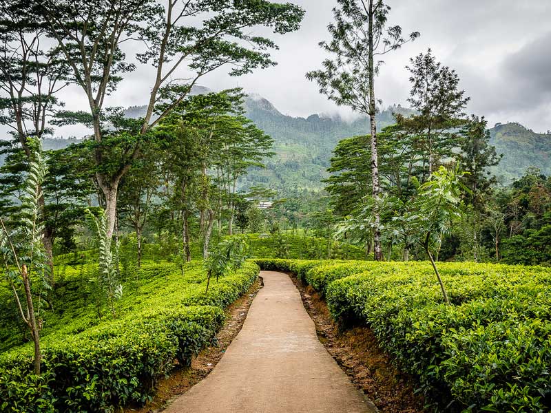 Stylish Boutique Hotels and Holidays in Sri Lanka