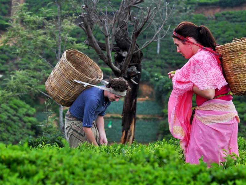 Stylish Boutique Hotels and Holidays in Sri Lanka