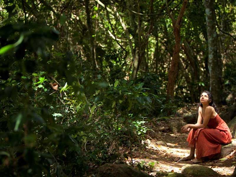 Luxury Holidays in Sri Lanka