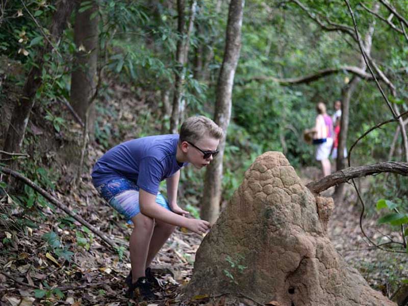 Luxury Holidays in Sri Lanka