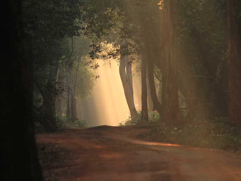 Sri Lanka Luxury Holiday Itineraries