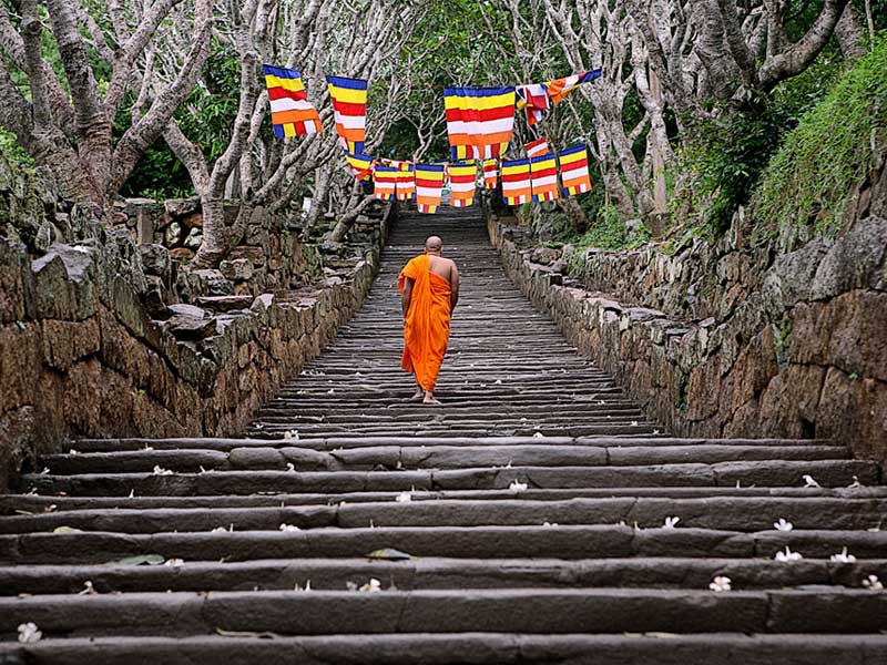 Sri Lanka Luxury Holiday Itineraries