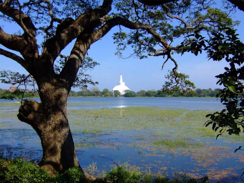 Sri Lanka Luxury Holiday Itineraries
