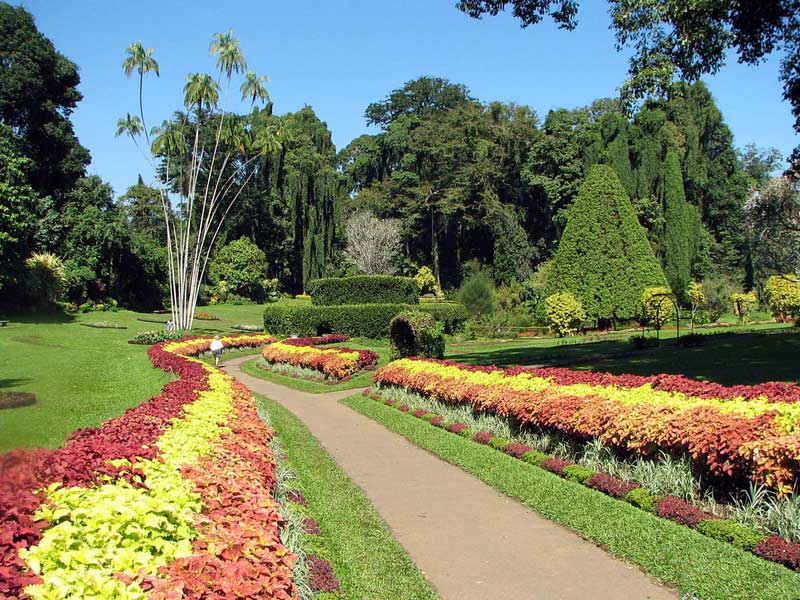 Sri Lanka Luxury Holiday Itineraries