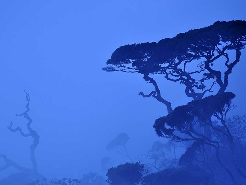 Sri Lanka Luxury Holiday Itineraries