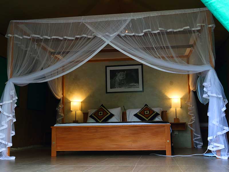 Luxury Tailor Made Sri Lanka Holidays