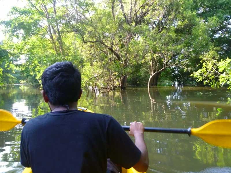 Luxury Holidays to Sri Lanka