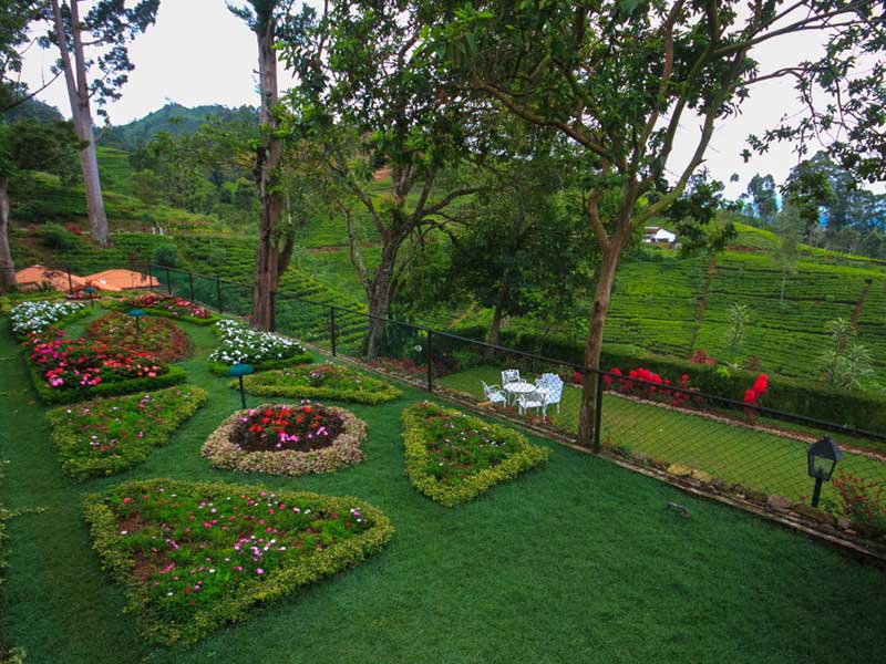 Luxury Holidays to Sri Lanka