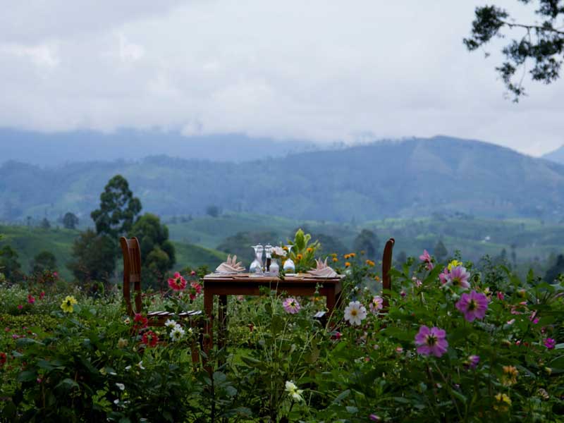 Luxury Holidays to Sri Lanka