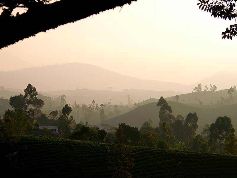 Luxury Holidays to Sri Lanka
