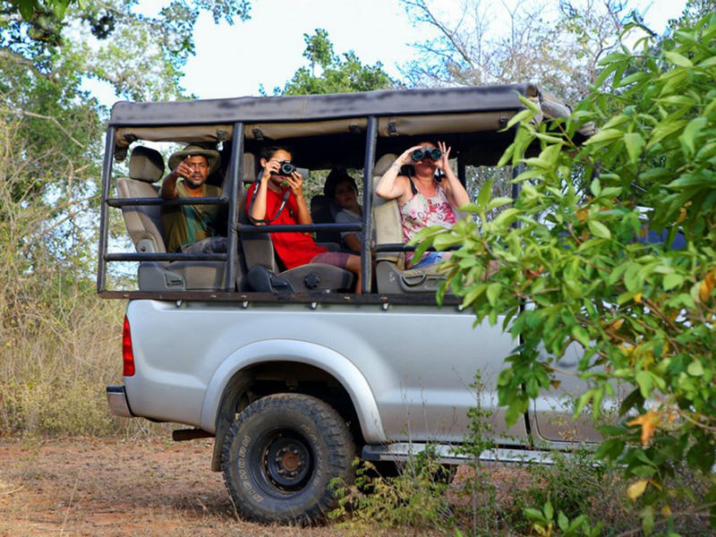 Luxury Holidays to Sri Lanka