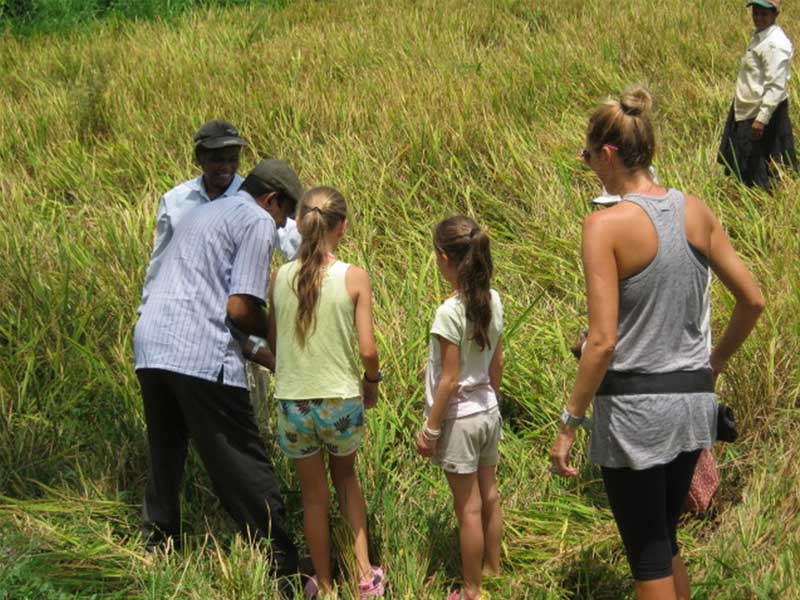 Luxury Holidays in Sri Lanka