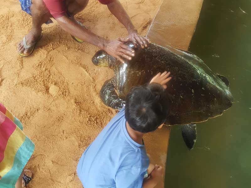 Luxury Holidays in Sri Lanka
