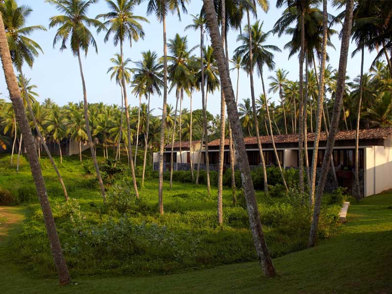 Luxury Holidays in Sri Lanka