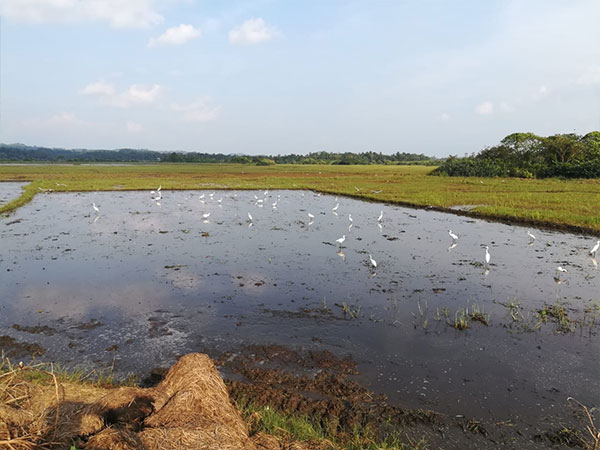 Cycling Tours in Ahangama