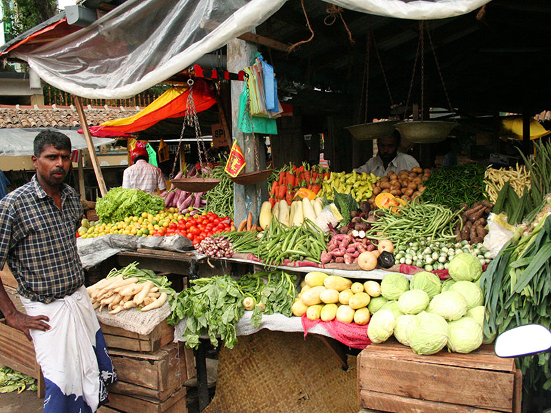 Cook and Dine in Galle