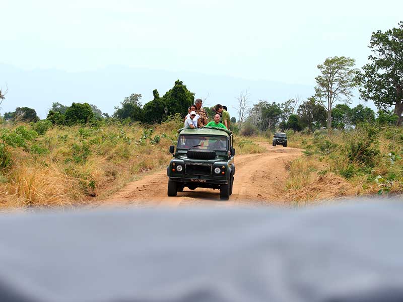 Afternoon Safari in Udawalawe National Park