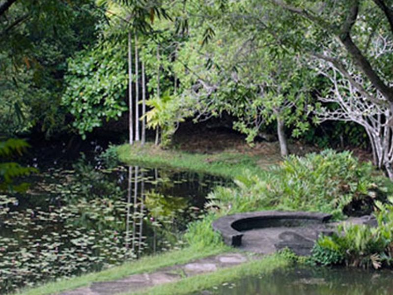 Lunuganga day tour departing from Galle