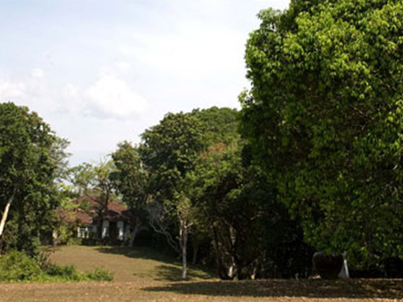 Lunuganga day tour departing from Galle
