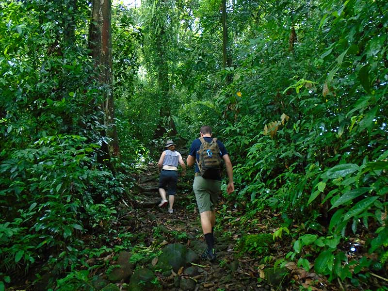 Sinharaja Trekking Day Tour