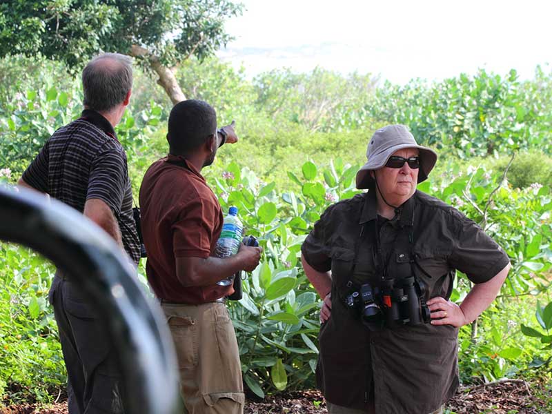 Afternoon Safari in Yala National Park
