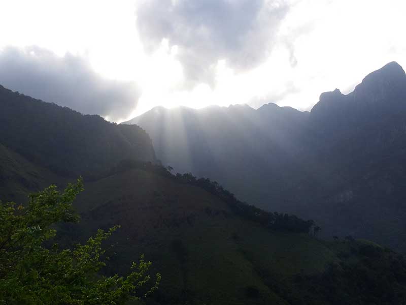 Knuckles and Riverston Day Trekking Trip