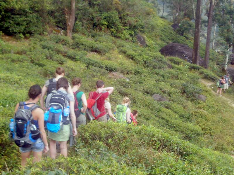 Knuckles and Riverston Day Trekking Trip