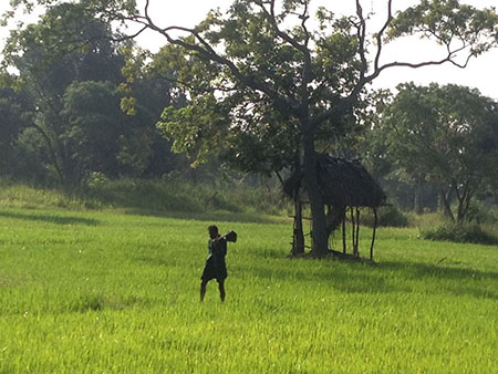 Cycling in Sigiriya, Cycling in Sri Lanka, Tours in Sri Lanka, Cycling Experience Sri Lanka, Cycle Tours Sri Lanka, Cycle Tours Sigiriya, Cycling Tour in Sri Lanka, Cycling Experience