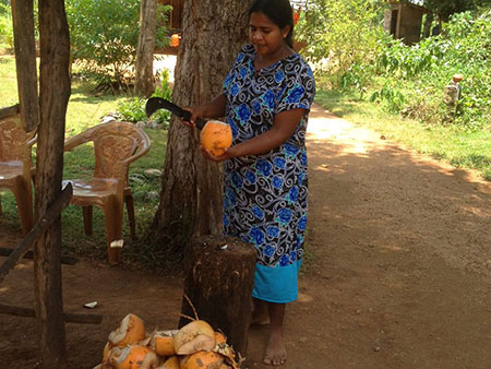 Cycling in Sigiriya, Cycling in Sri Lanka, Tours in Sri Lanka, Cycling Experience Sri Lanka, Cycle Tours Sri Lanka, Cycle Tours Sigiriya, Cycling Tour in Sri Lanka, Cycling Experience