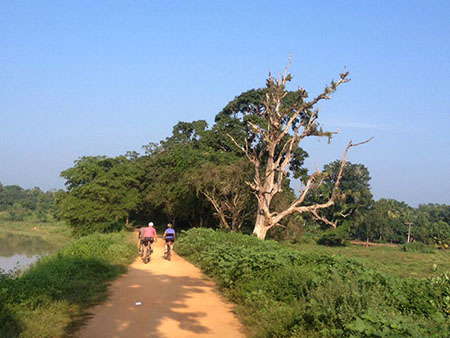 Cycling in Sigiriya, Cycling in Sri Lanka, Tours in Sri Lanka, Cycling Experience Sri Lanka, Cycle Tours Sri Lanka, Cycle Tours Sigiriya, Cycling Tour in Sri Lanka, Cycling Experience