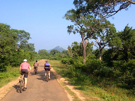 Cycling in Sigiriya, Cycling in Sri Lanka, Tours in Sri Lanka, Cycling Experience Sri Lanka, Cycle Tours Sri Lanka, Cycle Tours Sigiriya, Cycling Tour in Sri Lanka, Cycling Experience