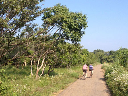 Cycling in Sigiriya, Cycling in Sri Lanka, Tours in Sri Lanka, Cycling Experience Sri Lanka, Cycle Tours Sri Lanka, Cycle Tours Sigiriya, Cycling Tour in Sri Lanka, Cycling Experience