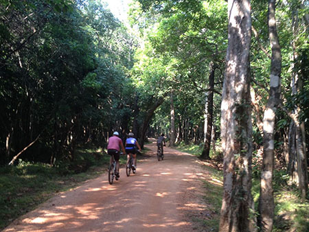 Cycling in Sigiriya, Cycling in Sri Lanka, Tours in Sri Lanka, Cycling Experience Sri Lanka, Cycle Tours Sri Lanka, Cycle Tours Sigiriya, Cycling Tour in Sri Lanka, Cycling Experience