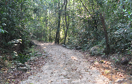 Trek through the country side and Trekking Trips in Sri Lanka - Trek through the Country Side and scenic trekking tours in Sri Lanka - Trek through the Country Side and trekking tours - Trekking Trips in bentota - Country Walk in Sri Lanka - Village Walk in Sri Lanka