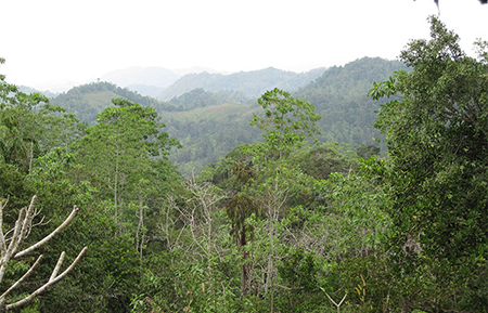 Trek through the country side and Trekking Trips in Sri Lanka - Trek through the Country Side and scenic trekking tours in Sri Lanka - Trek through the Country Side and trekking tours - Trekking Trips in bentota - Country Walk in Sri Lanka - Village Walk in Sri Lanka