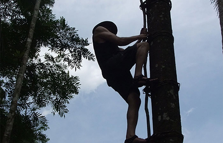 Trek through the country side and Trekking Trips in Sri Lanka - Trek through the Country Side and scenic trekking tours in Sri Lanka - Trek through the Country Side and trekking tours - Trekking Trips in bentota - Country Walk in Sri Lanka - Village Walk in Sri Lanka