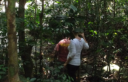 Trek through the country side and Trekking Trips in Sri Lanka - Trek through the Country Side and scenic trekking tours in Sri Lanka - Trek through the Country Side and trekking tours - Trekking Trips in bentota - Country Walk in Sri Lanka - Village Walk in Sri Lanka
