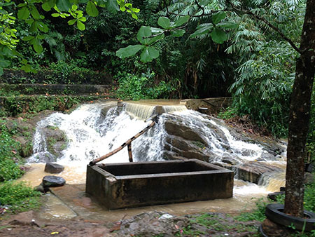 Kandyan Culture Walk with a Villager