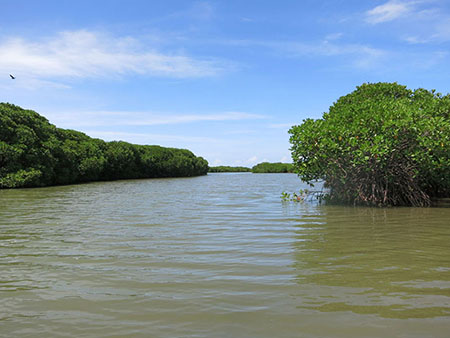 Fishing Catamaran Sailing Tour in Negombo