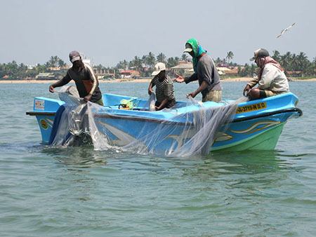 Fishing Catamaran Sailing Tour in Negombo