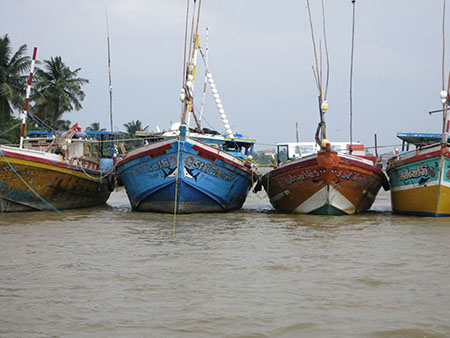 Fishing Catamaran Sailing Tour in Negombo