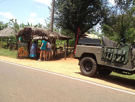 Culture trip in an Open Top Jeep with a villager followed by a home cooked lunch
