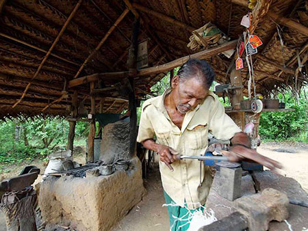 Village Tours in Sigiriya, Sigiriya and Habarana rural village walks, Village walks in Rural Villages, Village Tours in Sri Lanka, Walking tours in Sigiriya, Sigiriya Village Tours, Rural Village walking tours in Sigiriya and Habarana